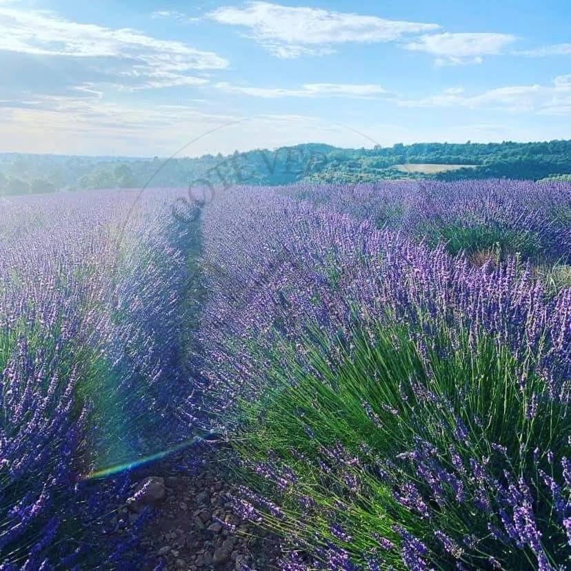 Cote Verdon 2 カンソン エクステリア 写真